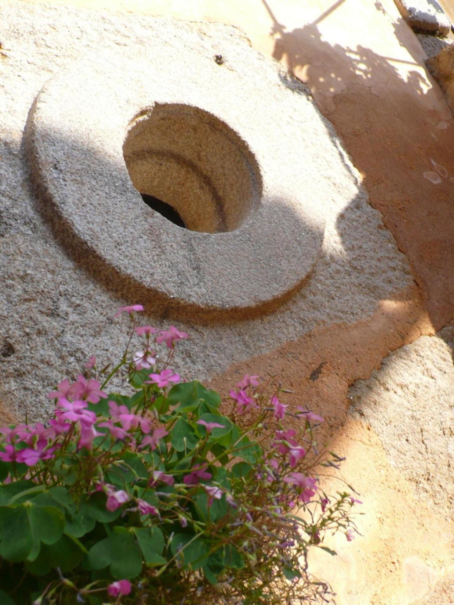 Casa Da Ti Cura Guest House Atenor Exterior photo