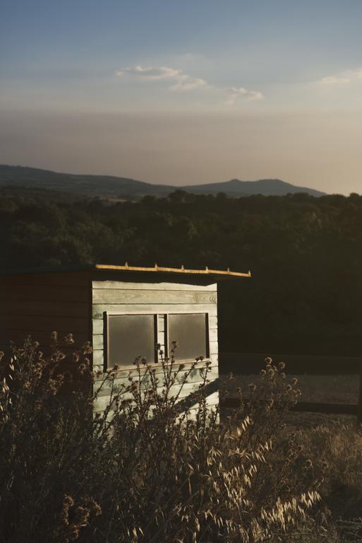 Casa Da Ti Cura Guest House Atenor Exterior photo